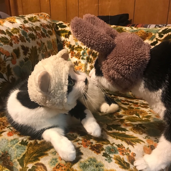 Meet your Posher, Alexandria - Picture 4 of 15